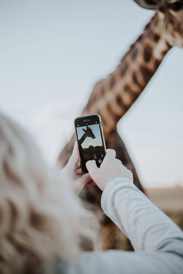 unsplash.com/PriscillaDuPreez