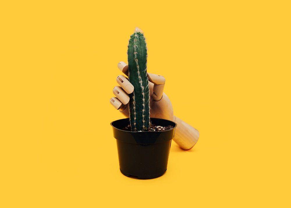 Unsplash/Charles Deluvio