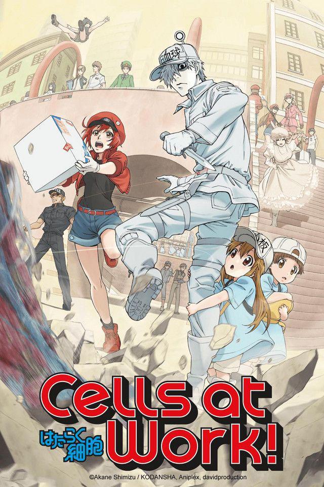 crunchyroll.com