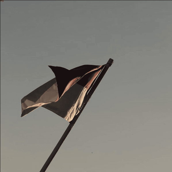 [PUISI] Kepada Indonesiaku Yang Sedang Berjuang