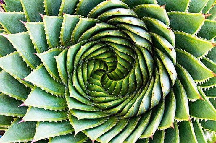 15 Gambar yang Pasti Disukai si Perfeksionis, Kamu Termasuk?