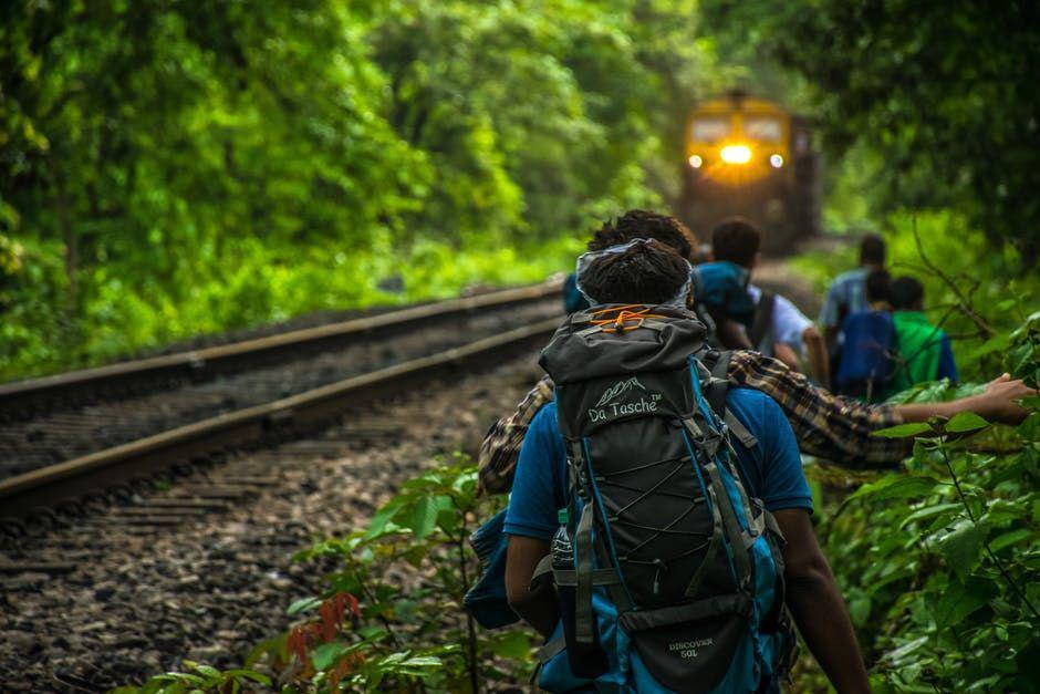 pexels.com/ajay bhargav GUDURU