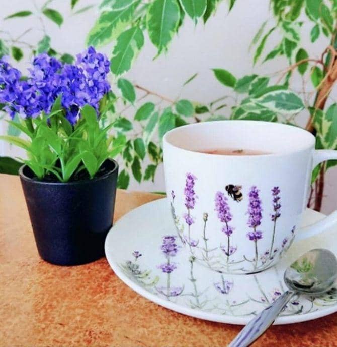 instagram.com/lavenderbistro_boutique