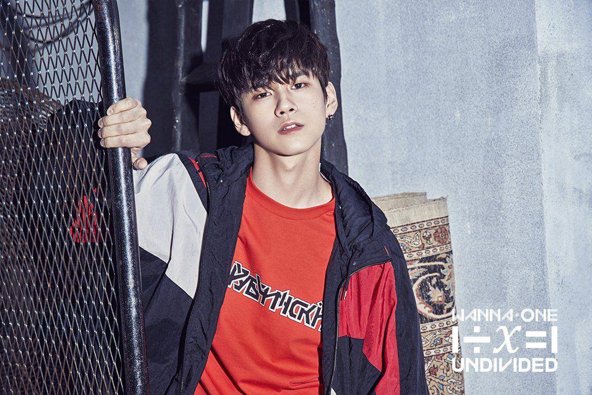 Instagram.com/wannaone.official