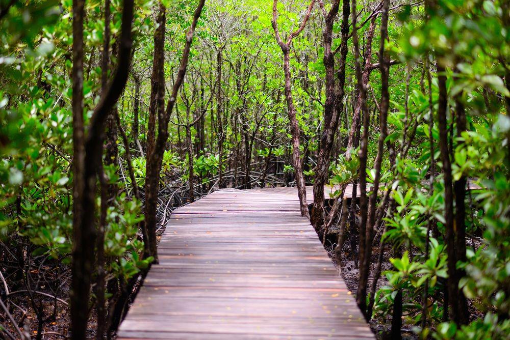 Keren, Pasar Mangrove Batam Dapat Dukungan Bank Indonesia
