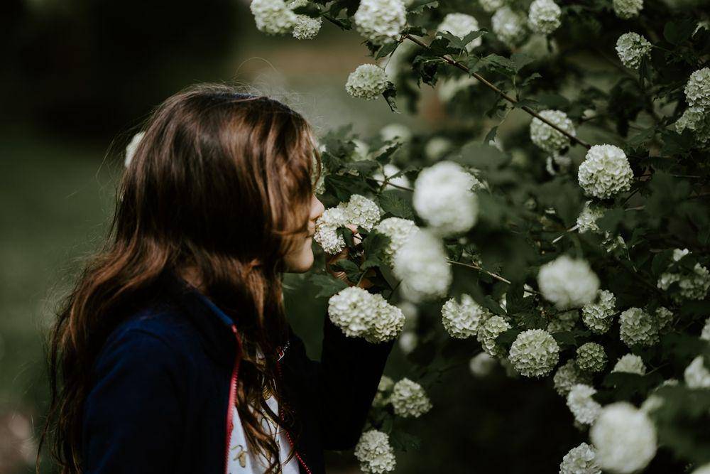 unsplash.com/@anniespratt