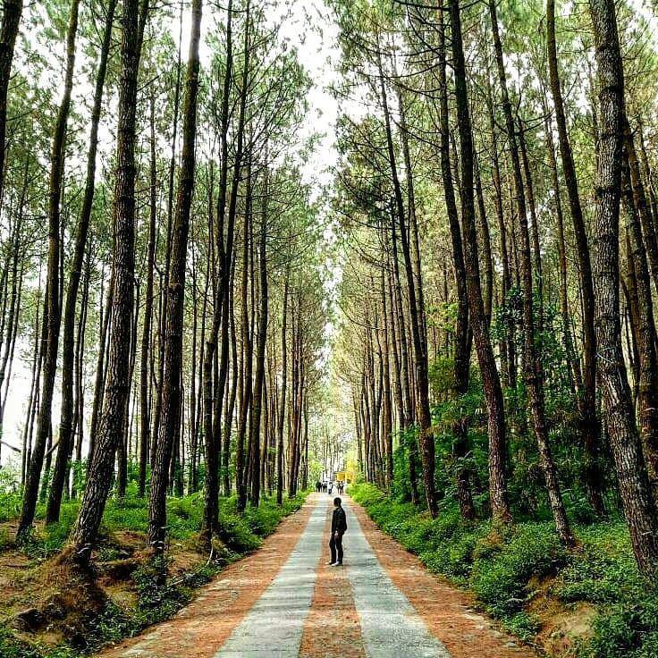 instagram.com/fadly.abdisalam/