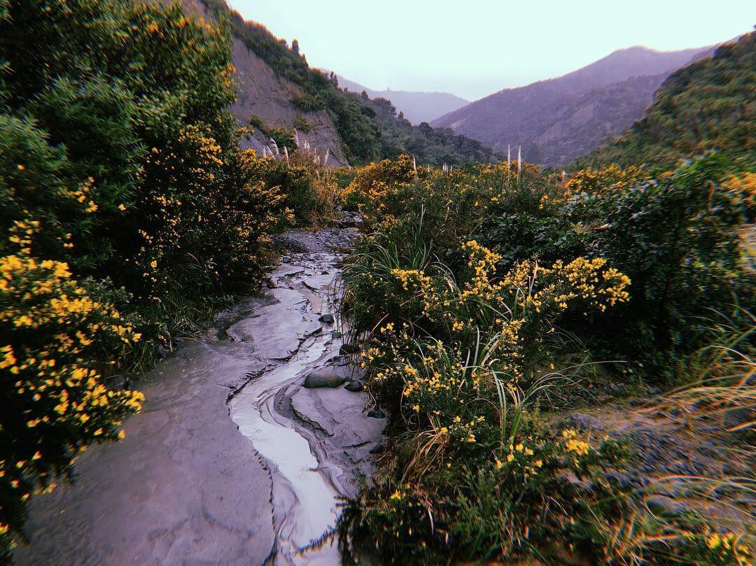 instagram.com/niamhcod