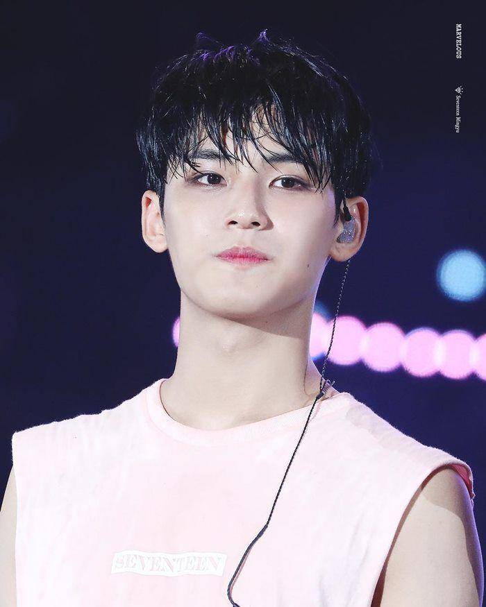 Instagram.com/mingyu