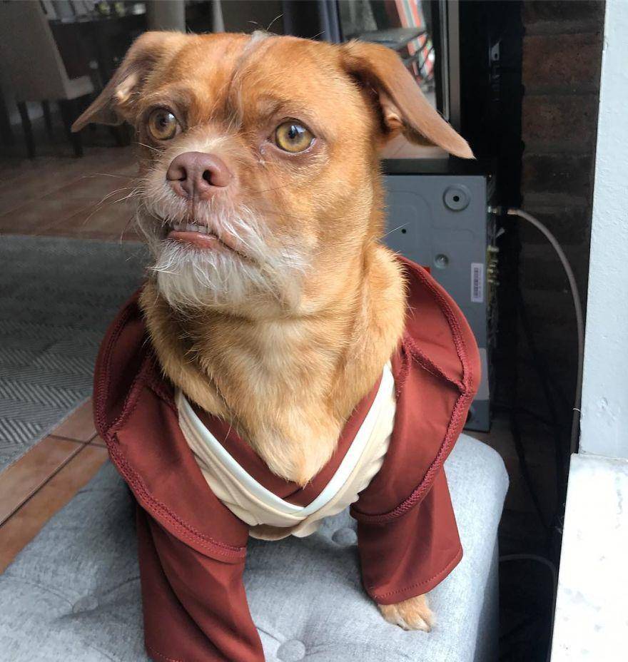 instagram.com/thebaconator