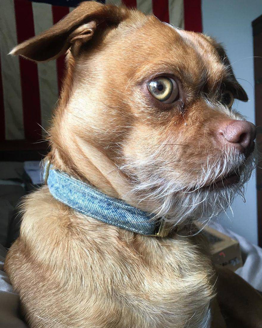 Instagram.com/thebaconator