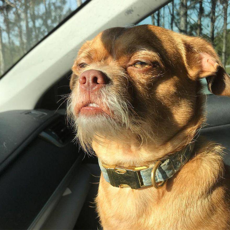 Instagram.com/thebaconator
