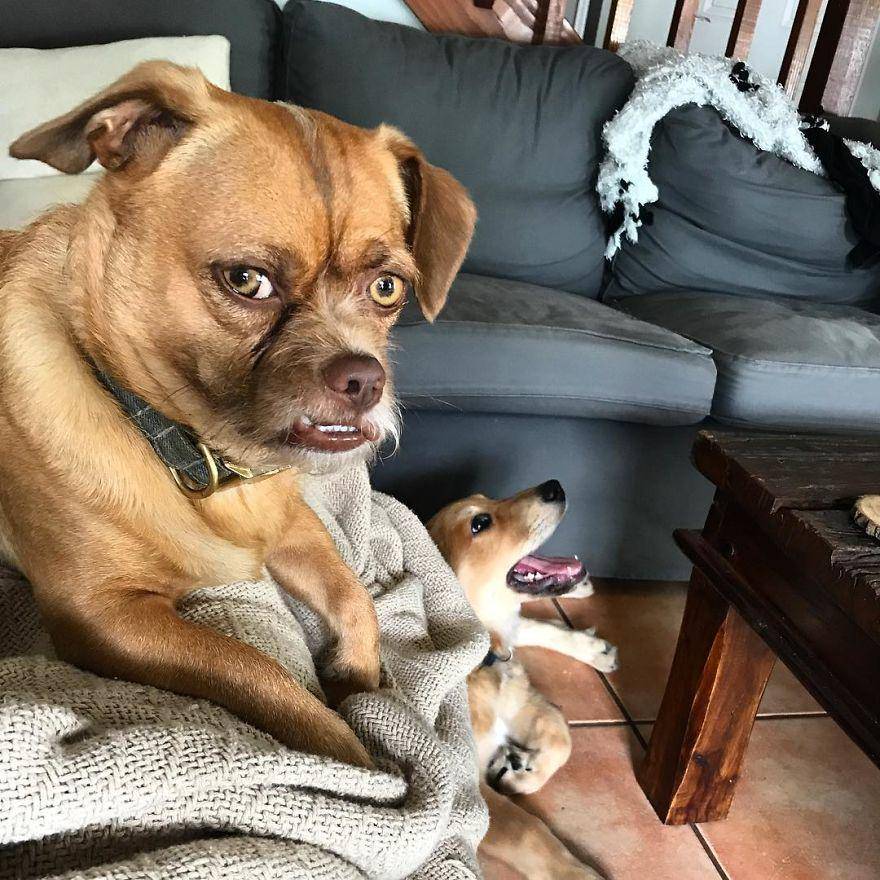 Instagram.com/thebaconator