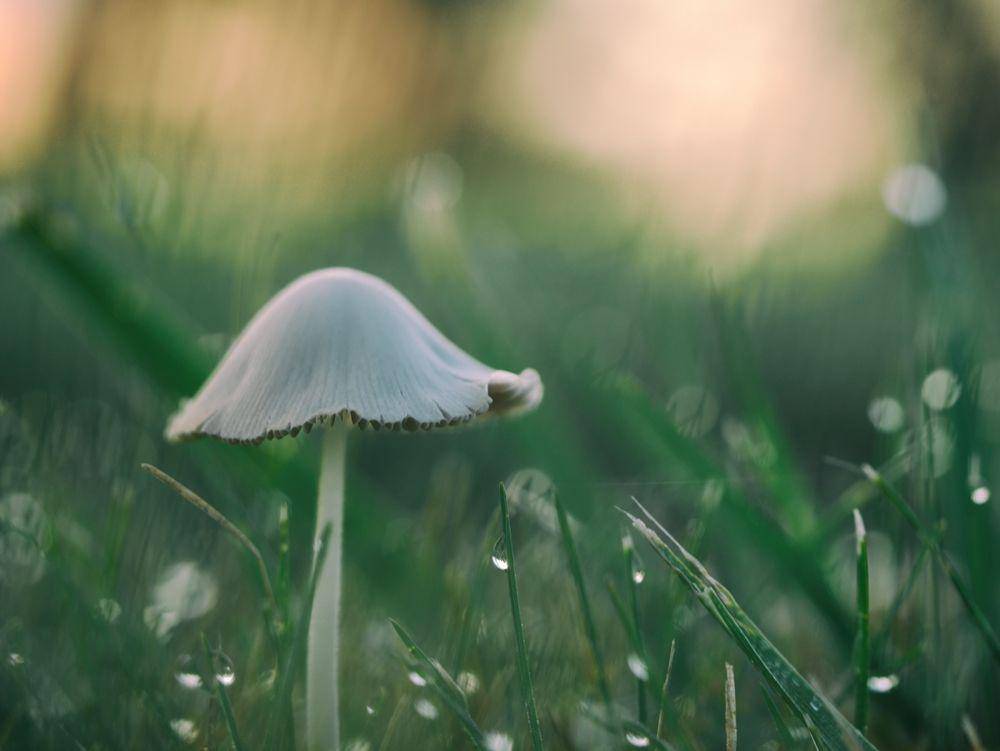 unsplash.com/@aaronburden