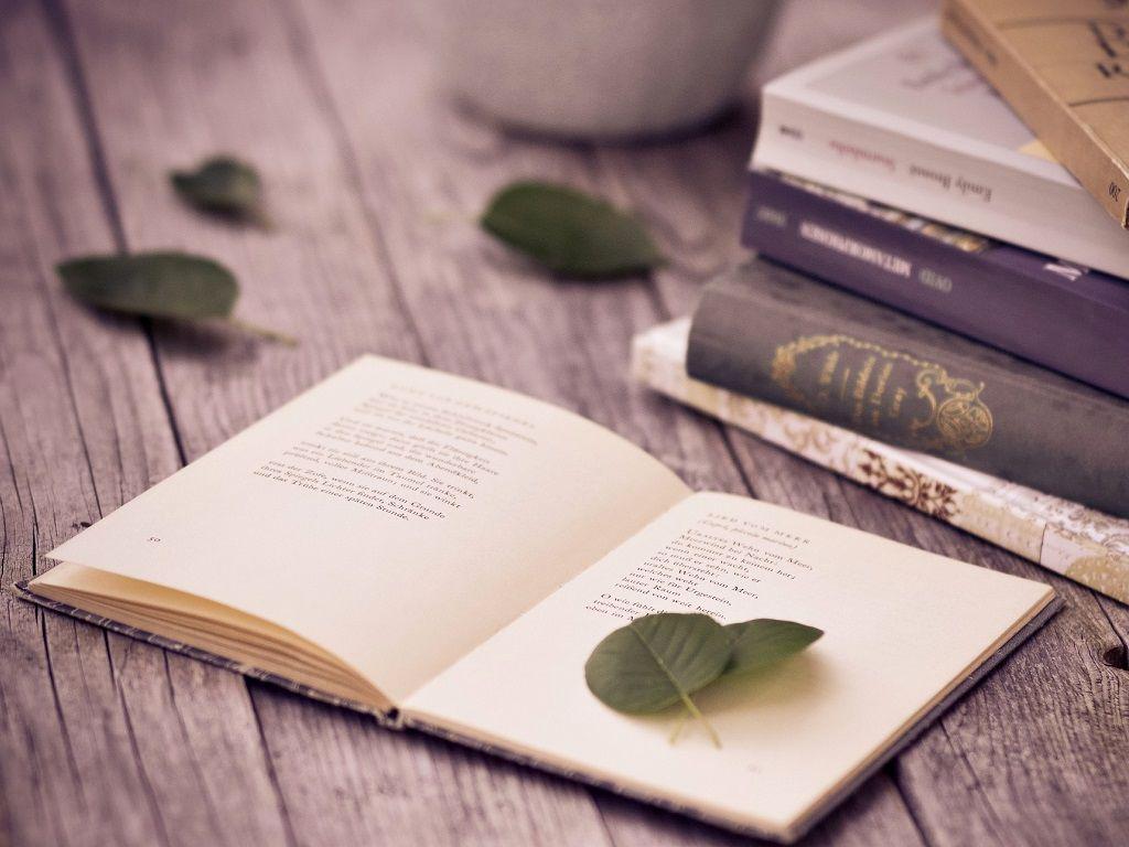 Hai Book Lovers, Sudah Pernah Mengunjugi 6 Kota Buku Menarik Ini ?