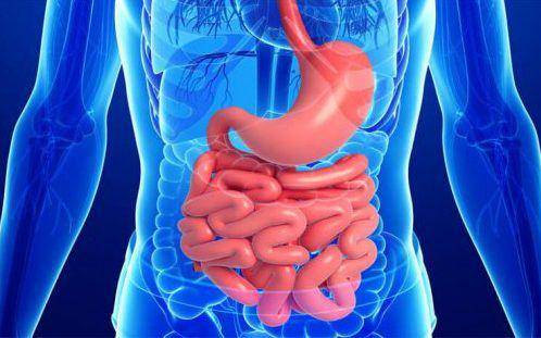 livergastrocare.com