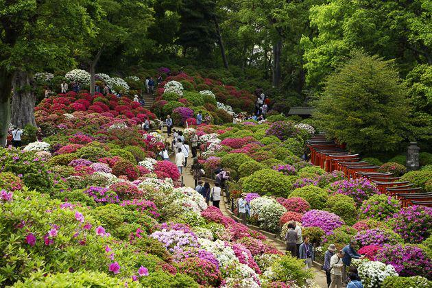 7 Tempat Tersembunyi di Tokyo ini Keren-keren, lho!