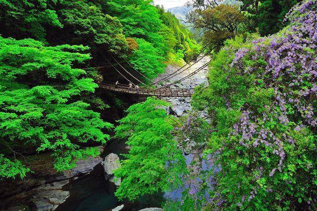 discovertokushima.net