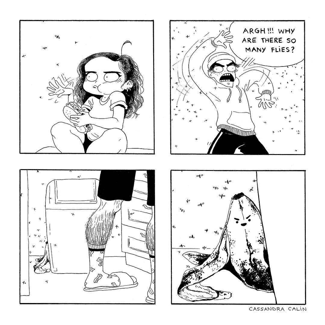instagram.com/cassandracalin