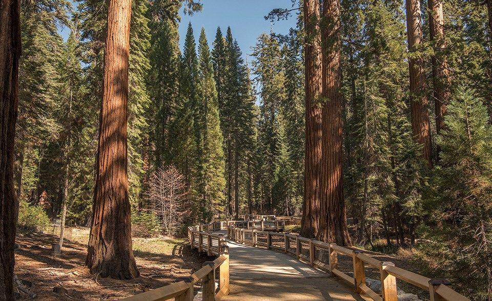 yosemite.com