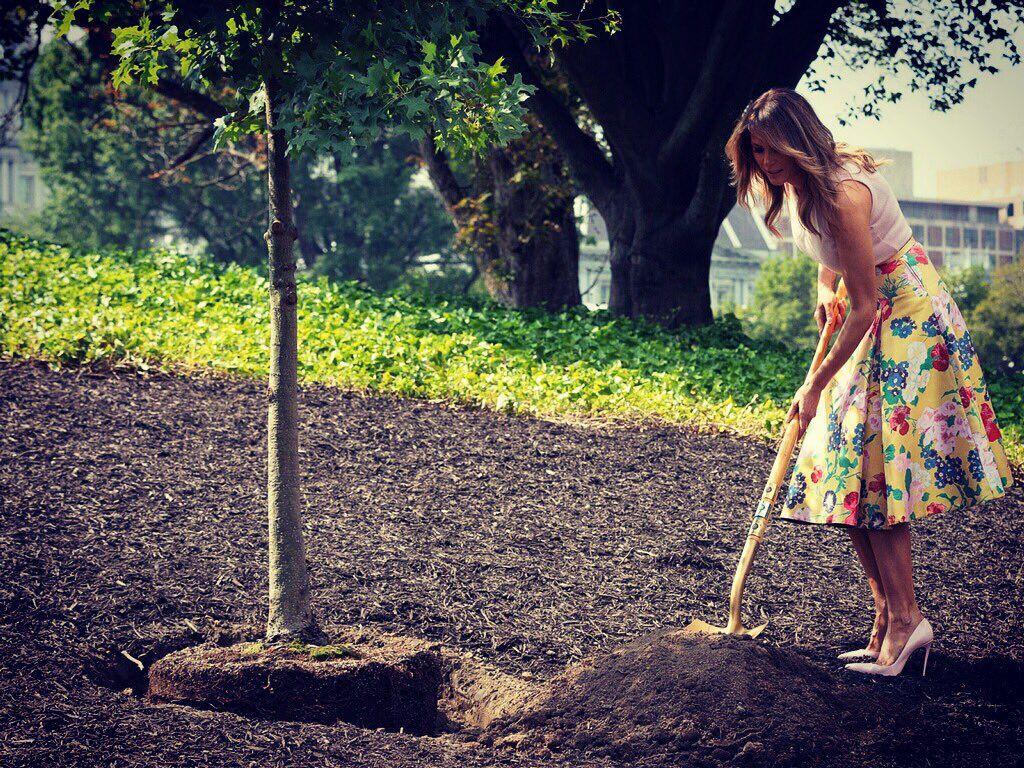Berkebun Pakai Hak 10 Cm, Melania Trump Dibully Tanpa Belas Kasihan!