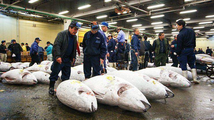 japan-guide.com