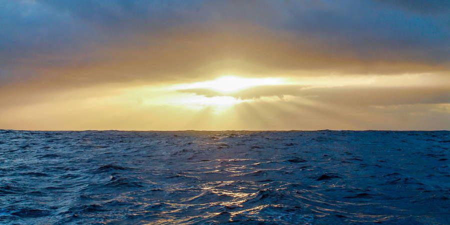 theoceancleanup.com