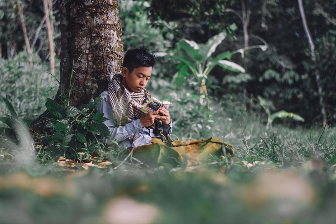 pixabay/darwisalwan