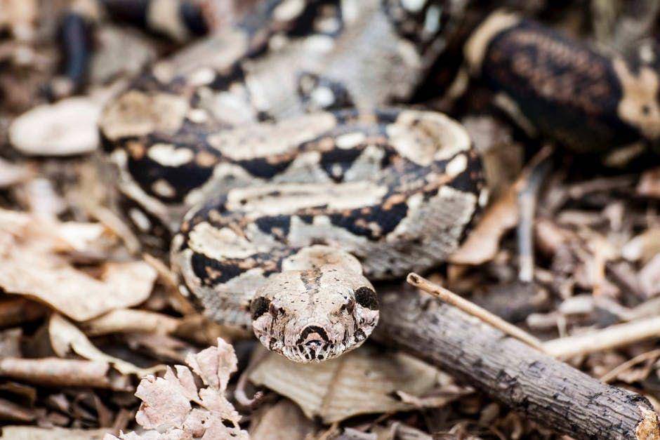 pexels.com/Pete Johnson