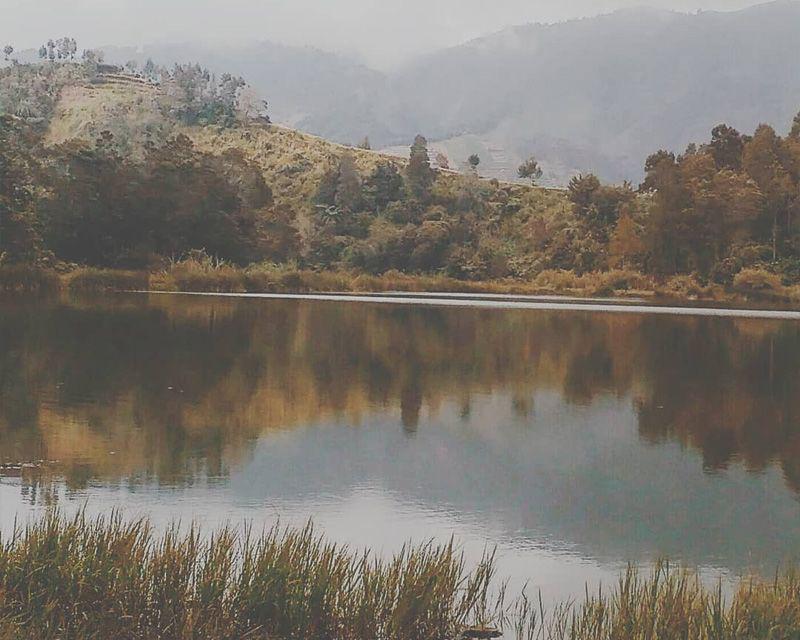instagram.com/burhanarfany