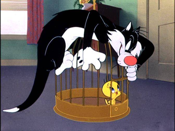 looneytunes.wikia.com