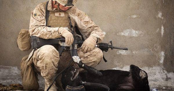Susah Tidur? Coba Terapkan Teknik Tidur ala Tentara Amerika