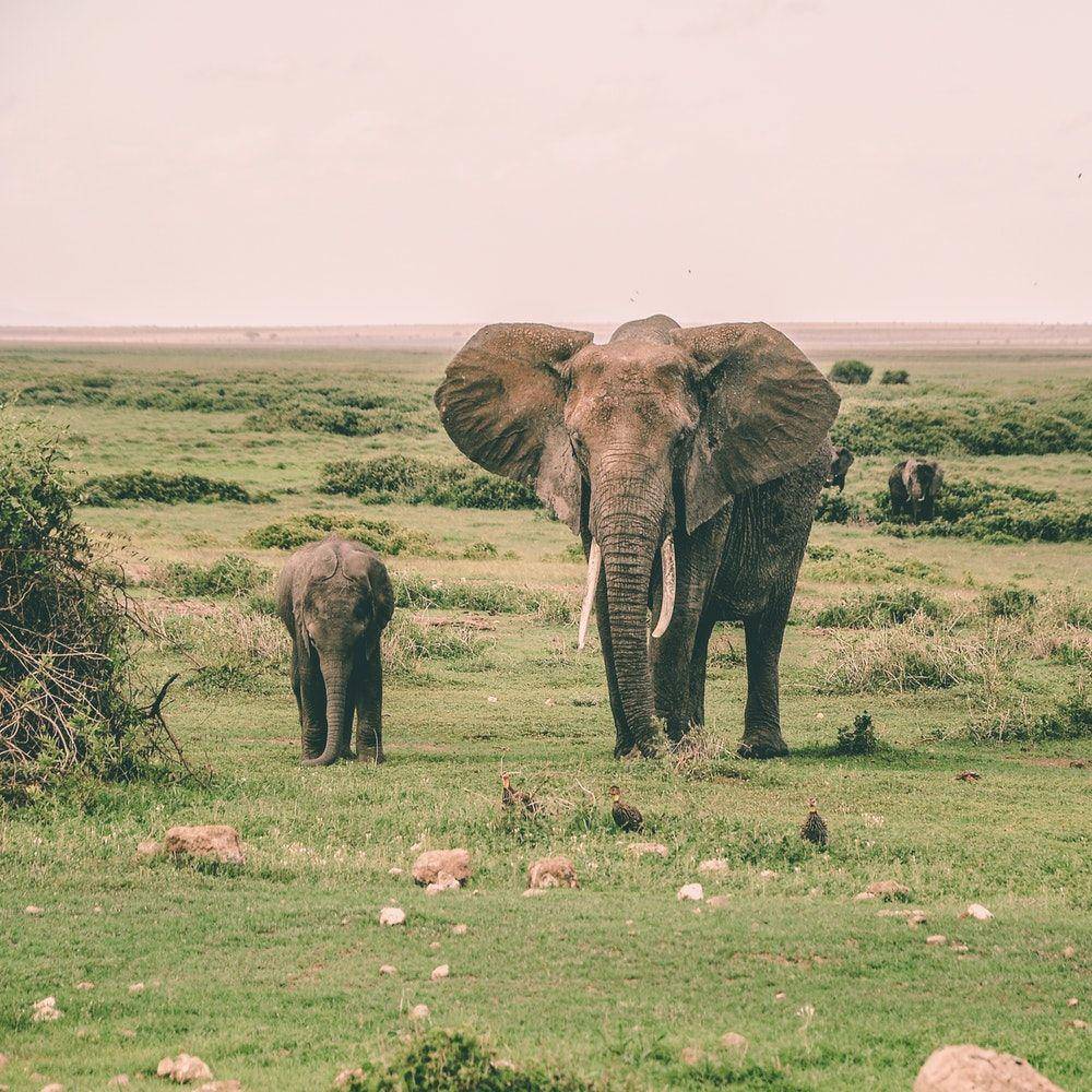 unsplash.com/Harshil Gudka