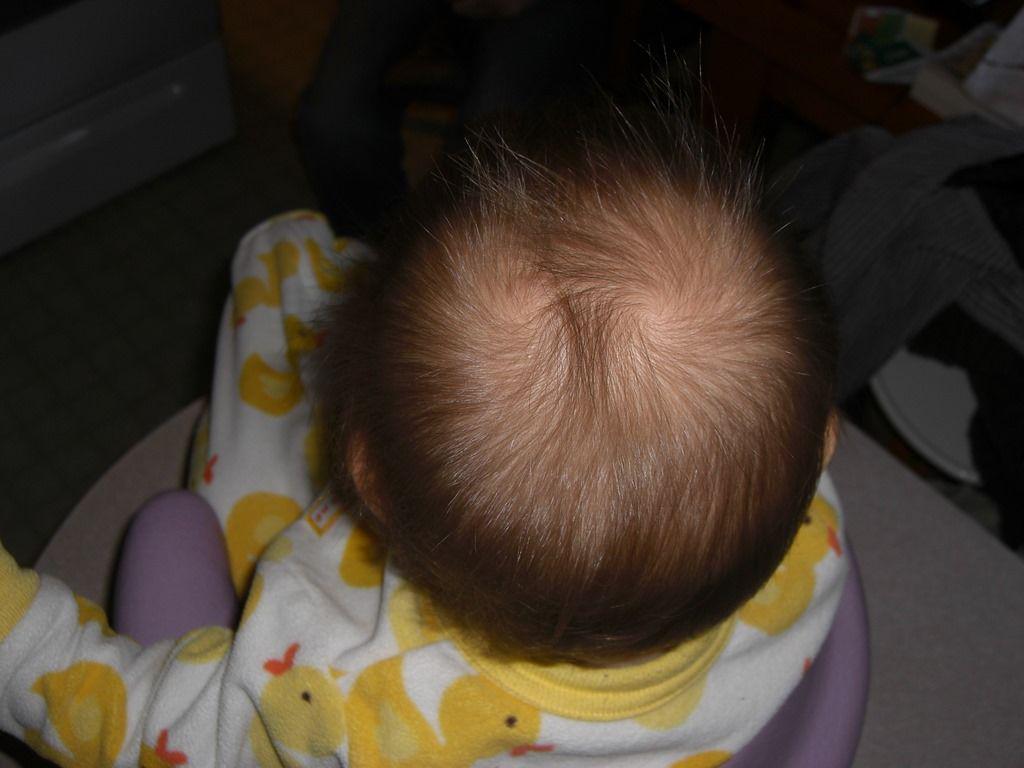 theittybittybloghorn.wordpress.com