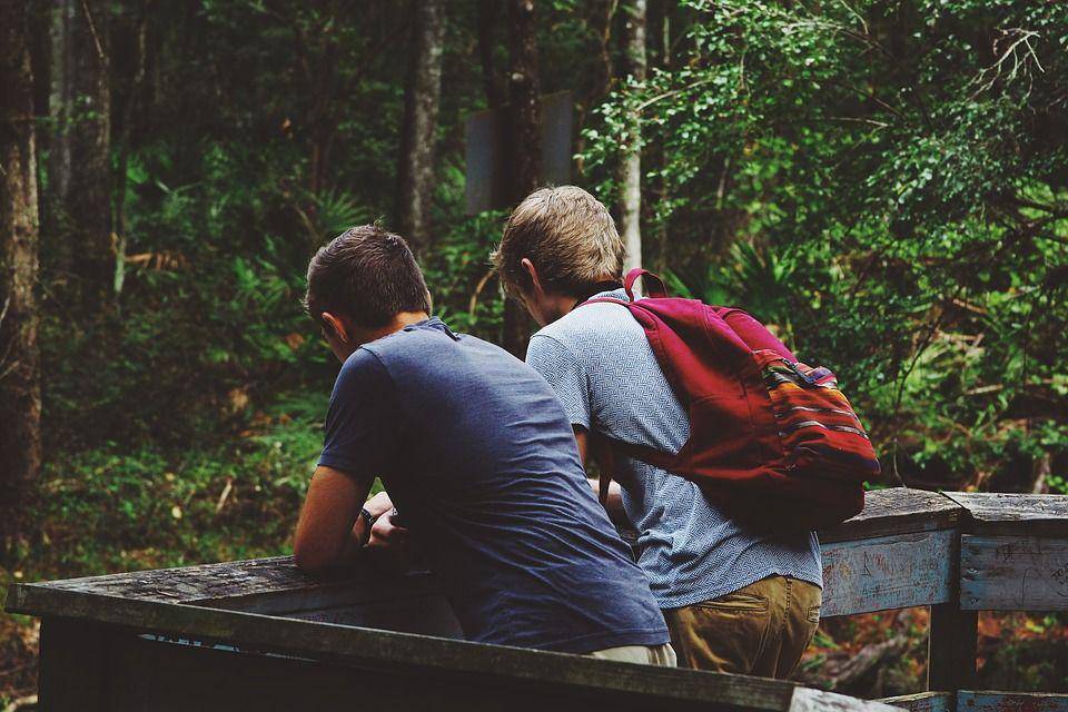 Pixabay/Free-Photos