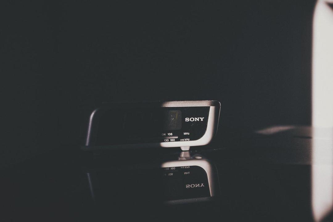 Unsplash.com/Raul Petri