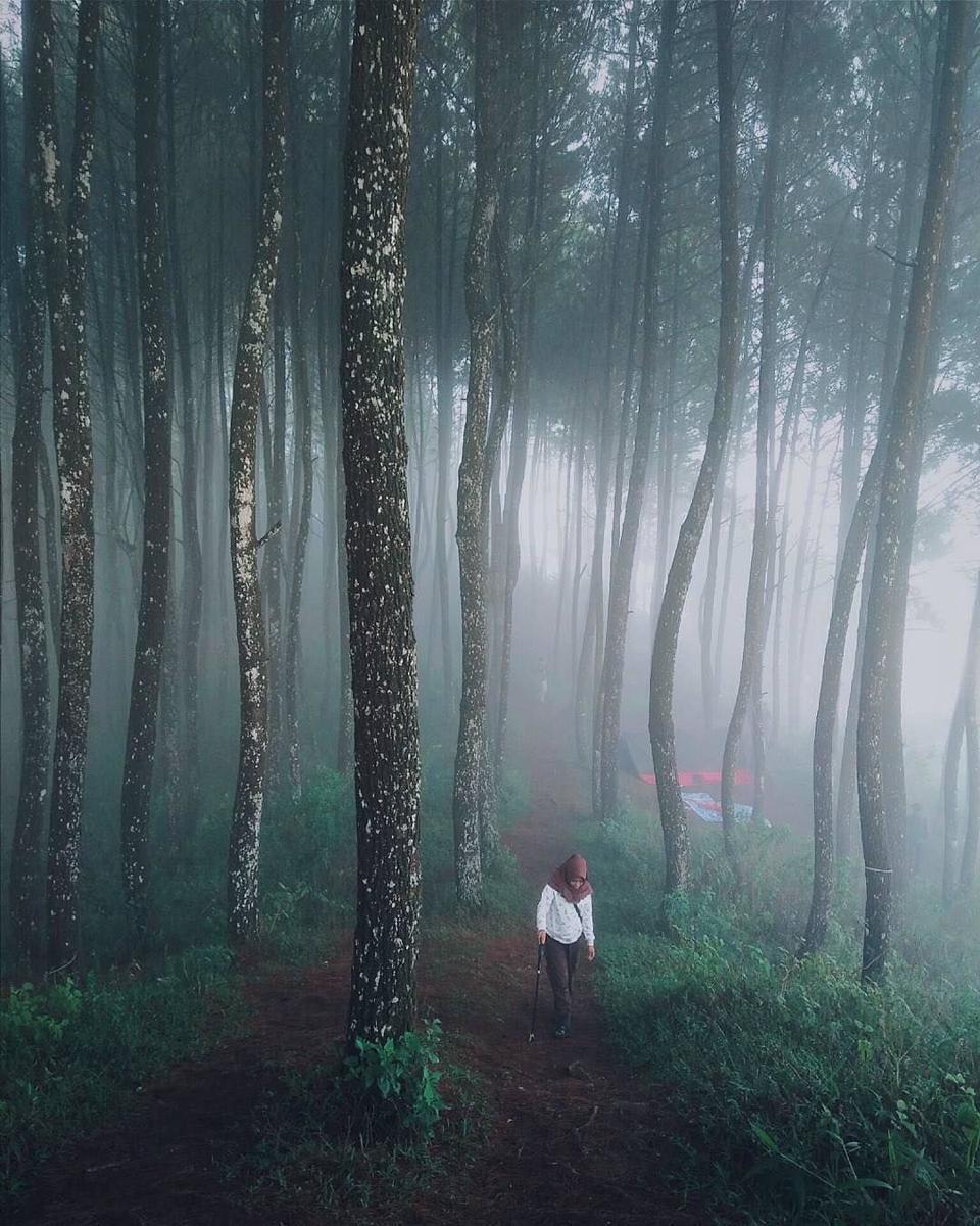 instagram.com/fitriynr