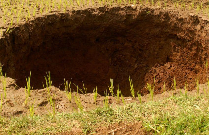 ANTARA FOTO/Budiyanto