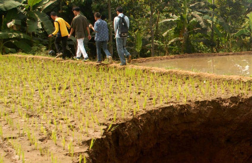 ANTARA FOTO/Budiyanto