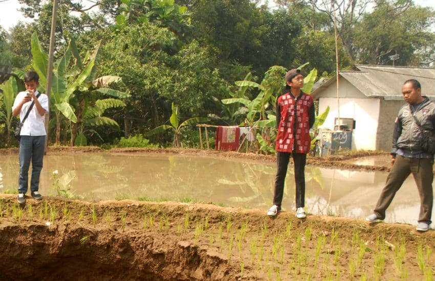 ANTARA FOTO/Budiyanto