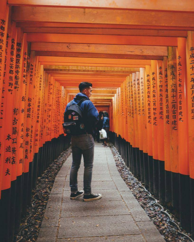 instagram.com/indpriw