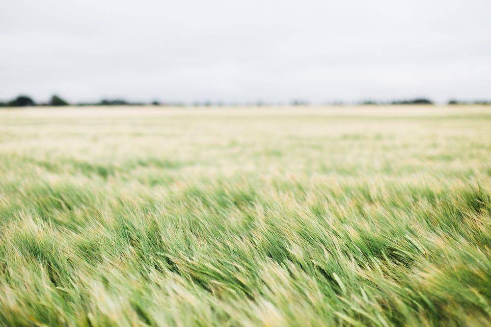 unsplash.com/brunus