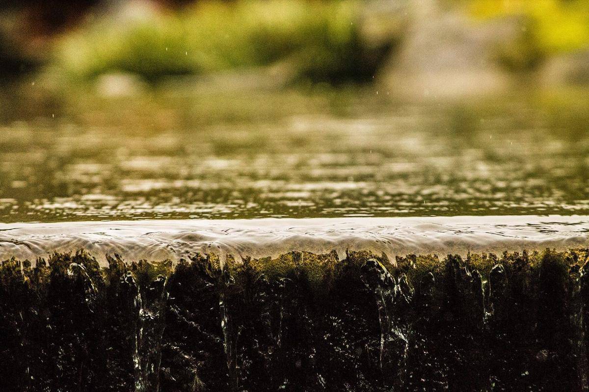 Unsplash/Owen Hartley
