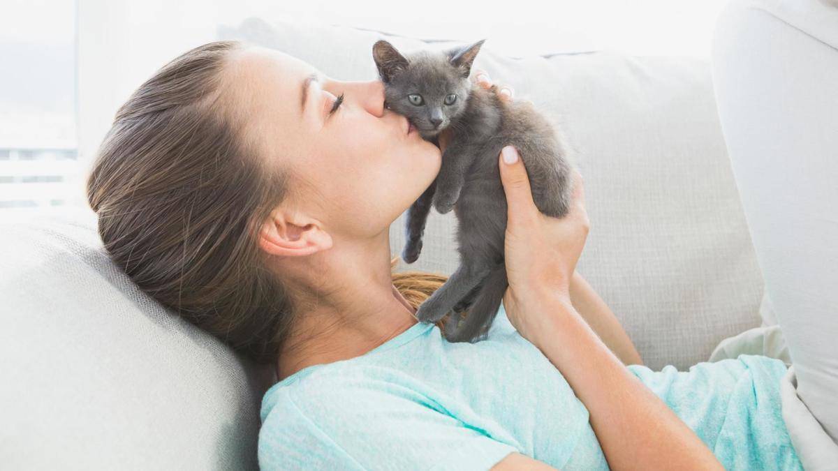 hotelforcats.com.au