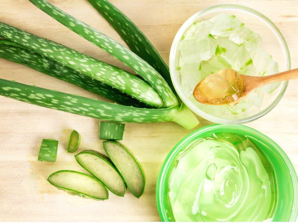 7 Manfaat Tersembunyi Aloe Vera Gel, Skincare Favorit Millenials