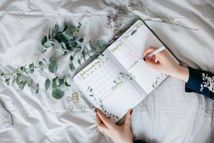Unsplash/The Journal Garden
