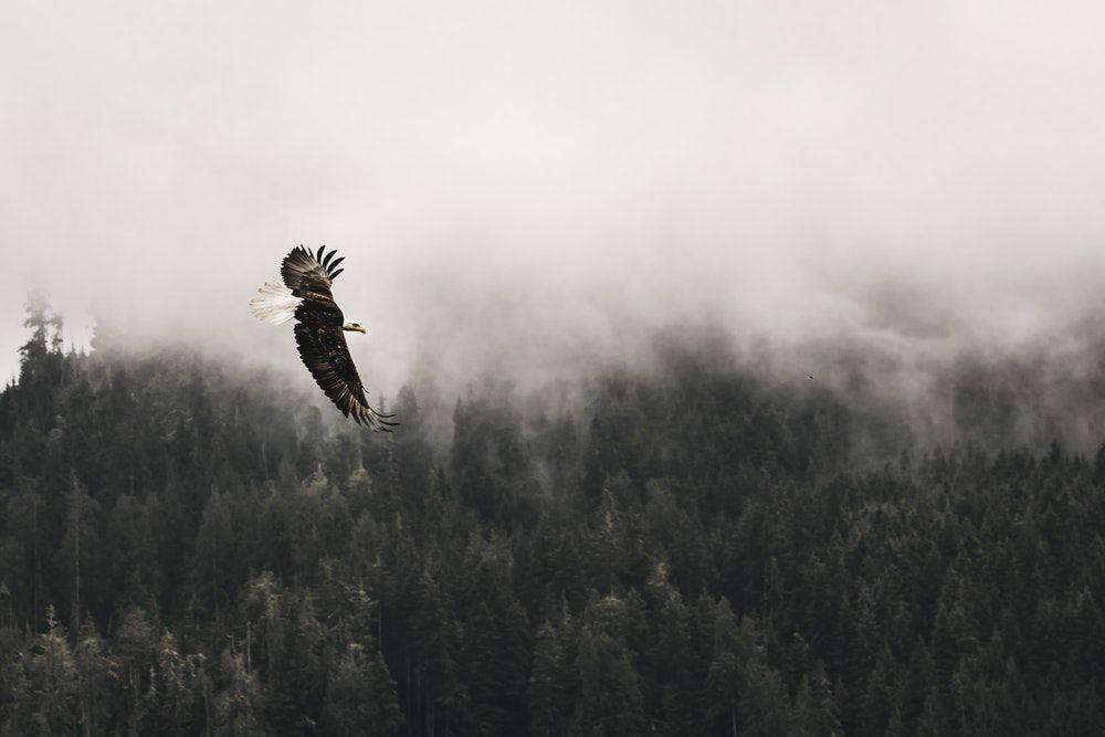 unsplash/Kea Mowat