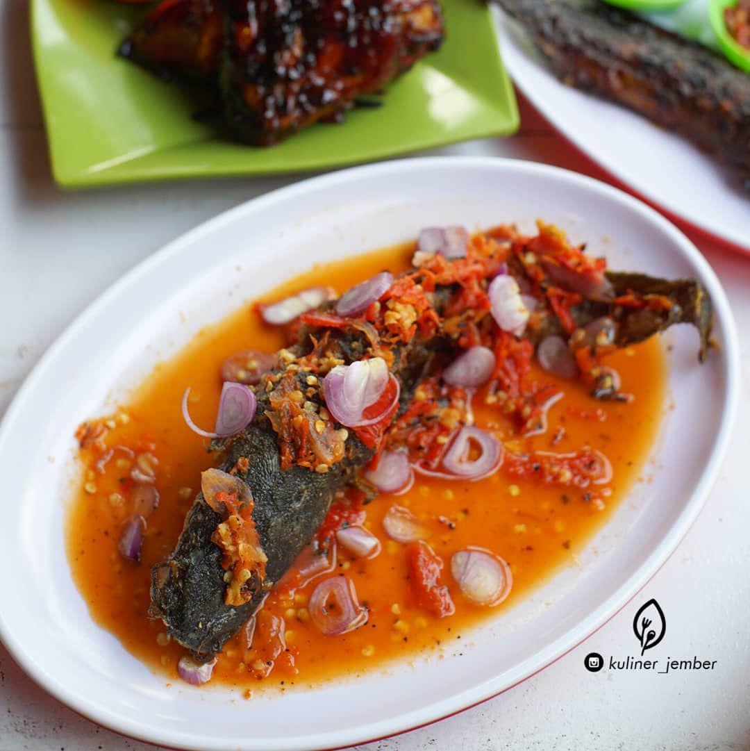 Gak Perlu Mahal, 7 Menu Ikan Lele Ini Bisa Cegah Anak dari Stunting