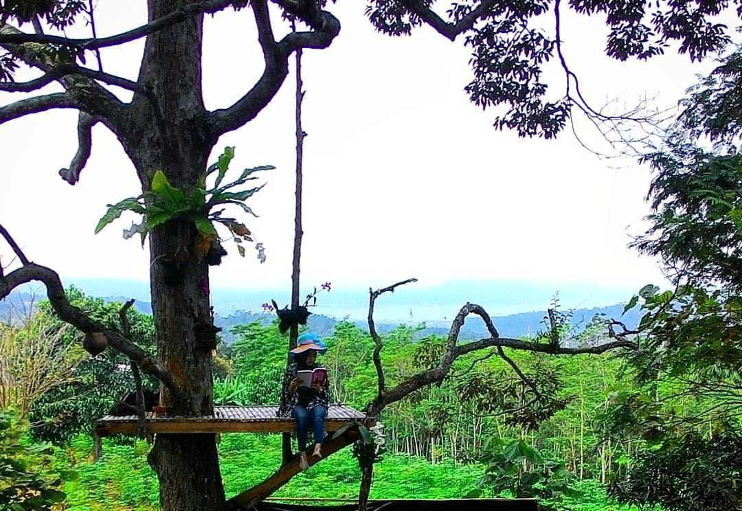 tukangngetrip.blogspot.com