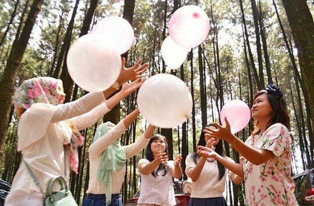 instagram.com/veghavinada